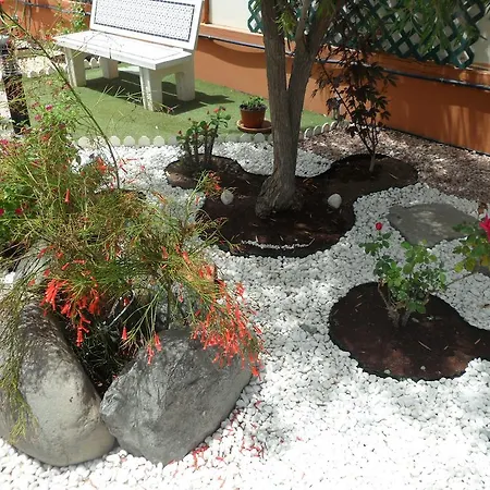 Siesta * Maspalomas (Gran Canaria)